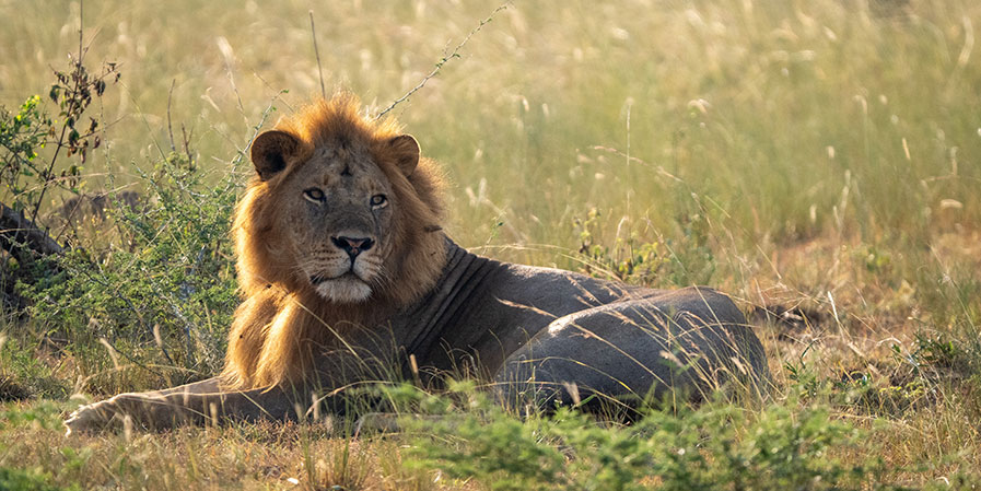 Kidepo Valley National Park